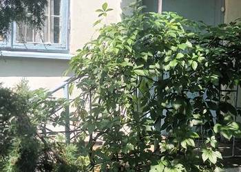 Działka ROD