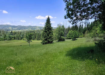 Działka Laliki 1519m2