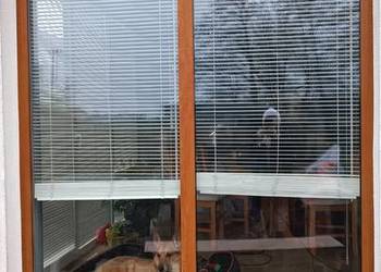 Sprzedam używane okno Veka Fix 196 x 232 cm – Wysokiej jakości PCV, żaluzje