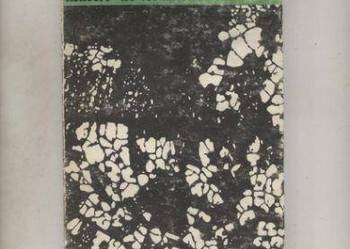 Koncert we Fromborku - Chrościelewski