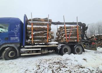 Scania R Scana R560 kłonice HDS przewóz drewna przyczepa kłonicowa