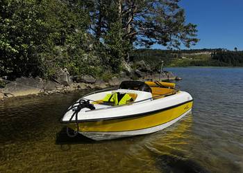 Łódź motorowa Sea King 360 z silnikiem Suzuki z przyczepką i Sondą Garmin