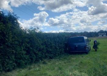 Uslugi porządkowe łódzkie