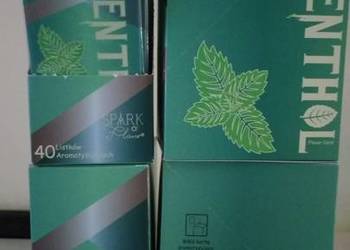 Karta,listek,karty aromatyzujące świeża mięta 100szt + wysyłka 0 zł