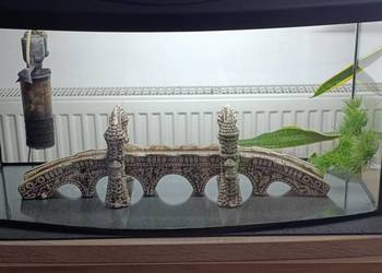 Akwarium 110 litrów