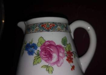 Mlecznik. SHELLEY ENGLAND. Zachwycający