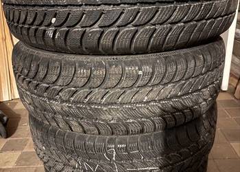 Opony zimowe Debica Frigo  195/65/R15