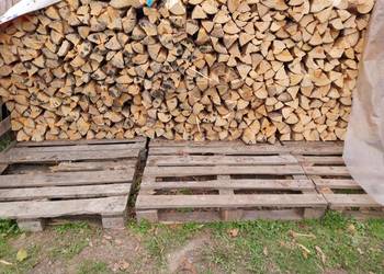 Drewno opałowe rąbane liściaste suche