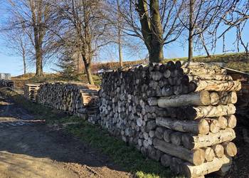 Drewno opałowe buk/czereśnia