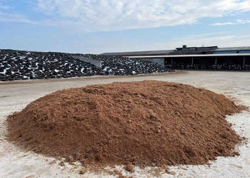 Młóto browarniane mokre