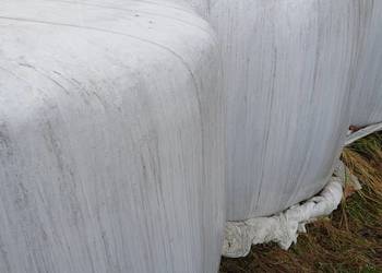 Sprzedam baloty sanokiszonki.