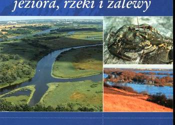 Gdzie wody czyste jeziora rzeki i zalewy