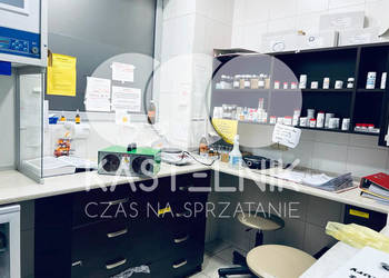 Odgrzybianie ścian Olsztyn - Kastelnik - Usuwanie grzybów i pleśni