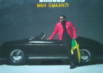 Shaggy: Wah Gwaan?!