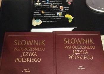 Słowniki współczesnego języka polskiego