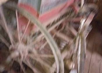 Siewnik konny półtorak