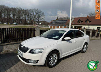 Škoda Octavia 1,2 Tsi 105ps ładna świeżo zarejestrowana na pasku III (2013…