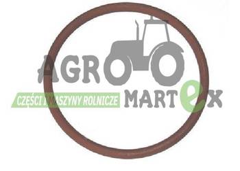 17290081, 920007573, 85801065, 76607983 ORING CNH