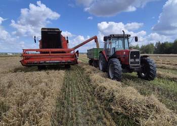 Bizon rekord z058 x2