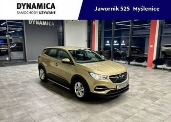 Opel Grandland X 1.2Turbo 130KM M6 2018/2019 r., salon PL, 115tys.km przeb…