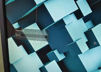 Monitor 20 cali uszkodzony