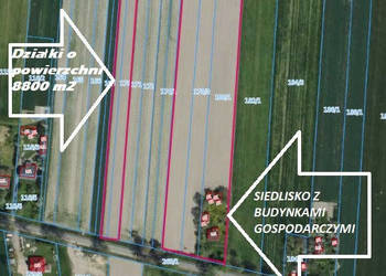 Oferta sprzedaży gruntu 8800m2 Kotliny