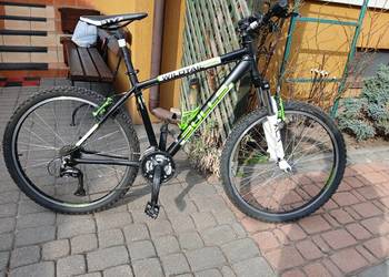 Rower BULLS xc sports