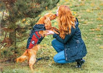 Kurteczka Tierhood zielony XXS