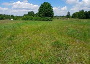 Działka z WZ 1000 m² | Częstochowa Stradom  natura + szybkie centrum