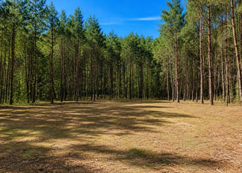 Działka
