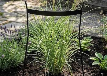 Podpora otwarta dla traw i nie tylko