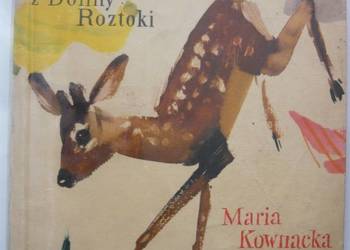 ROGAŚ Z DOLINY ROZTOKI - KOWNACKA MARIA