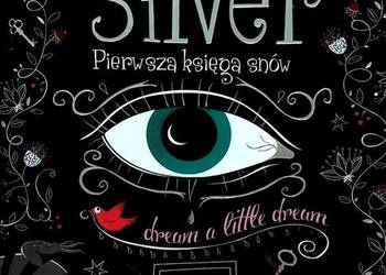 302 Kerstin Gier Silver Pierwsza księga snów (DP) (6)