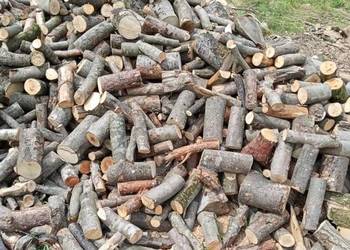 Gałęziówka i Drewno Kominkowe Buk Dąb Grab Brzoza Sosna Jesion SEZONOWANE