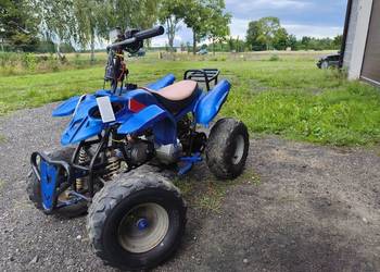 Quad 110cm.