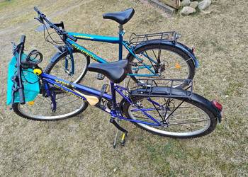 Rower męski i damski Shark.