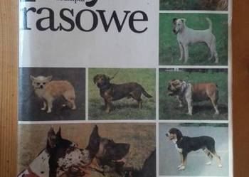 Psy rasowe
