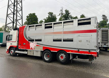Volvo  FM 410 ciezarowka do przewozu zwierzat