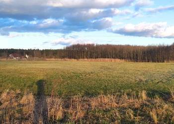 Działka rolna 98 arów z warunkami zabudowy 1-7 domów.