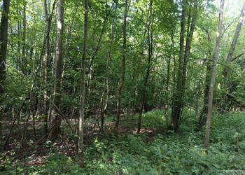 Działka Budzów 4545m2
