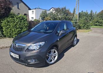 Piękna Mokka / Opc - Line / Bi - Xenon / Skóra / Hak