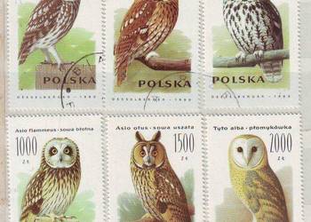 Zn. Fi 3146 - 51 kas 1990