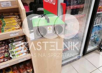 Odgrzybianie ścian Jelcz-Laskowice - Kastelnik - Usuwanie grzybów i pleśni