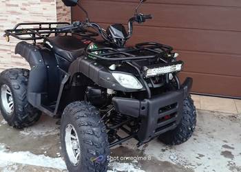 Quad Bashan hamer 250 wtrysk paliwa 2023r