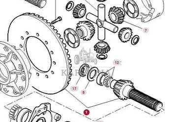 Massey Ferguson 7516 Atak Wałek Koło Zębate Stożkowe CZĘŚCI 4358708M92 435…