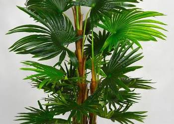 Sztuczna palma Waszyngtonia Liwistonia 160cm Wachlarzowata naturalne pnie