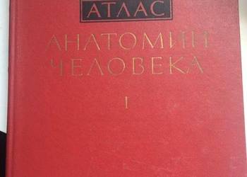 ATLAS ANATOMII CZŁOWIEKA - TOM I - SINIELNIKOW R.D.