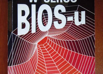 W sercu BIOS-u. W sercu BIOS. Michael Martin