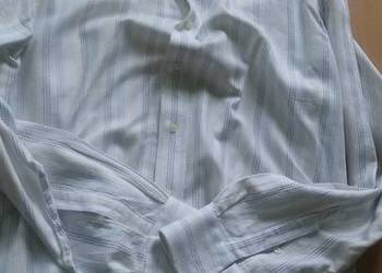 43, 176-182, XL,wólczanka, lambert, koszula męska z kołnierz