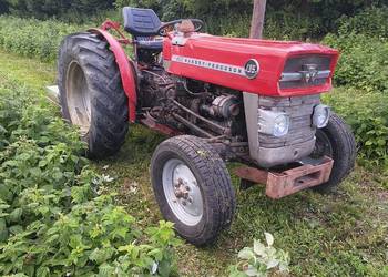 MF Ciągnik rolniczy SADOWNICZY Massey Ferguson 135